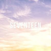 Seventeen Imagines chat bot
