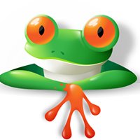 Design Frogz chat bot
