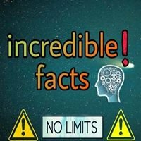 Stunning Facts chat bot