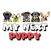 My Next Puppy - Puppies and Dogs for Sale chat bot