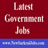 New Sarkari Jobs chat bot