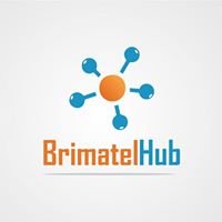 Brimatel Hub chat bot