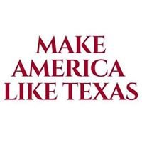 Make America Like Texas chat bot