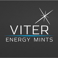 Viter Energy chat bot