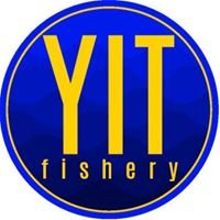 Yit Fishery Trading Sdn Bhd chat bot