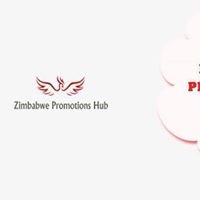 Zimbabwe Promotions Hub chat bot