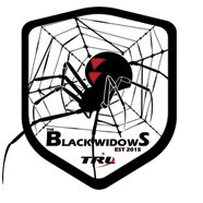 The Black Widows chat bot
