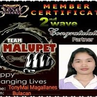 TonyMai Magallanes -S2S Premium -TeamNethv2. chat bot