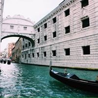 Venice Gondola chat bot